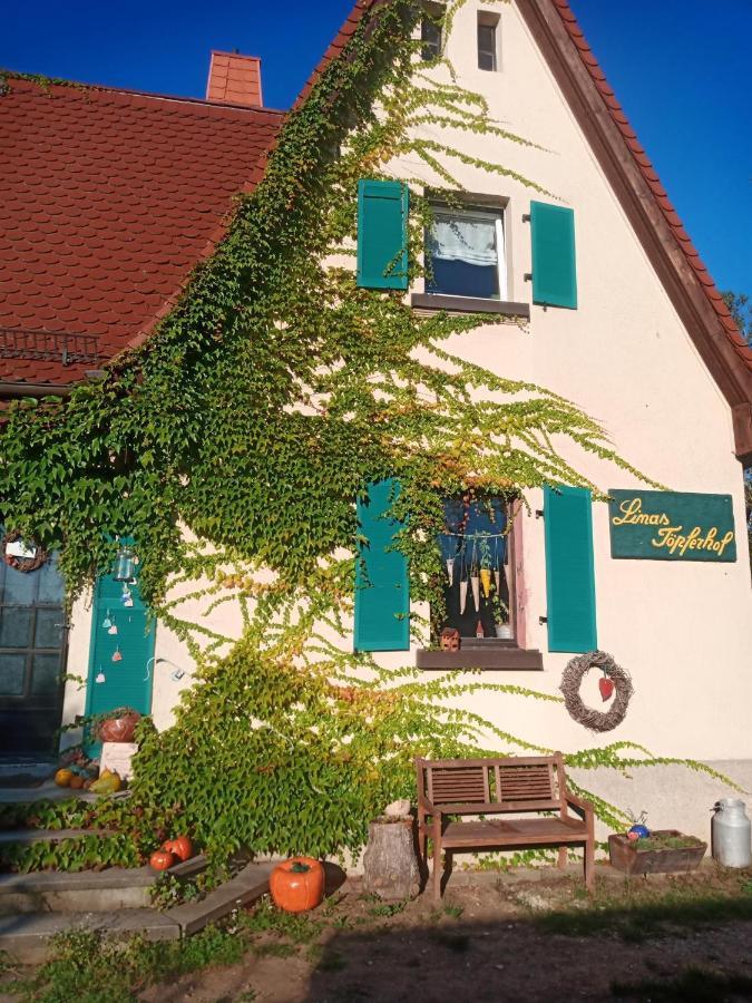 Appartement Linas Toepferhof à Weißenfels Extérieur photo